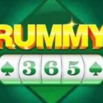 Rummy 365