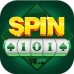 SPIN 101