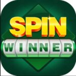 spin winner