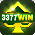 3377 win